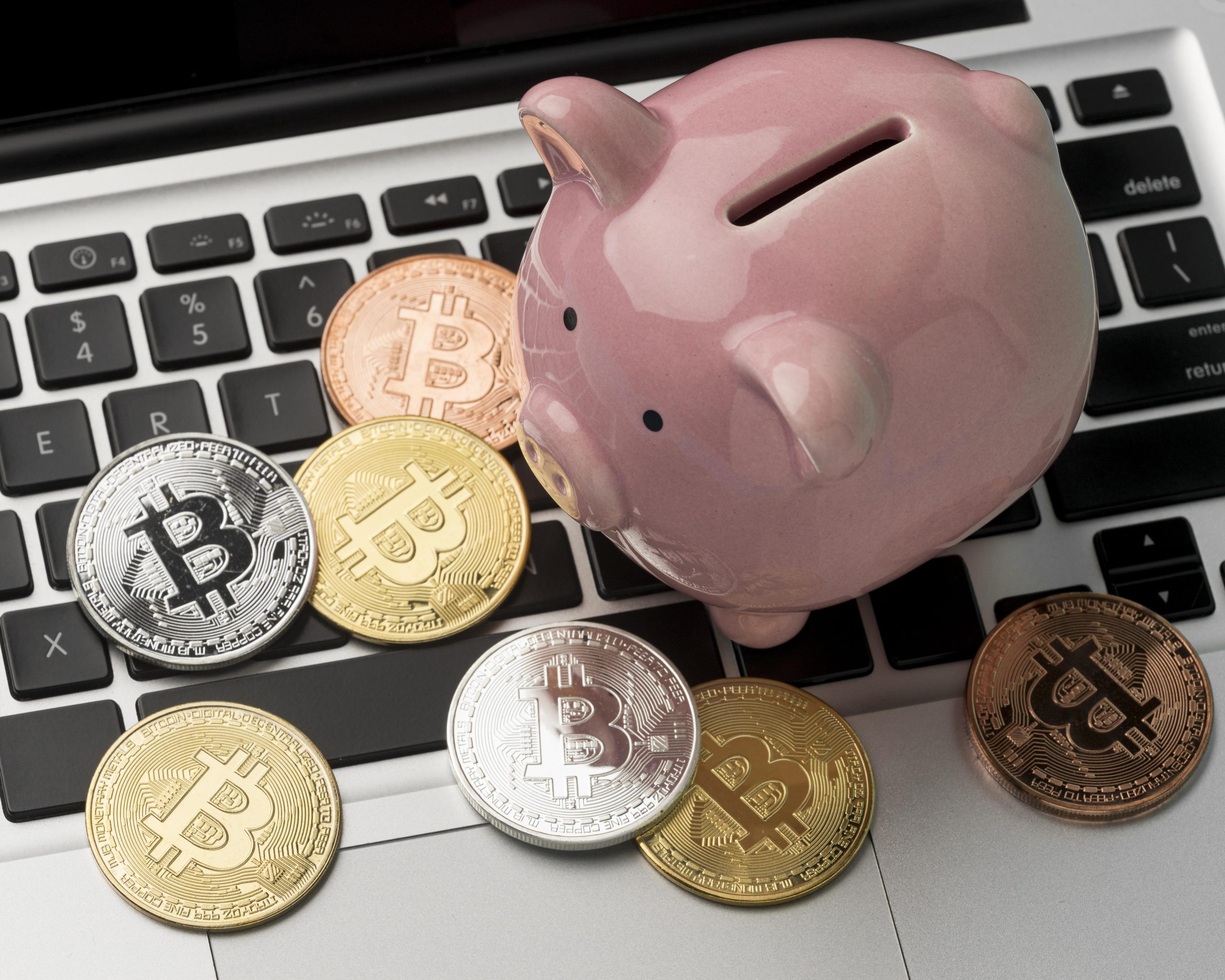 finance elements with piggy bank