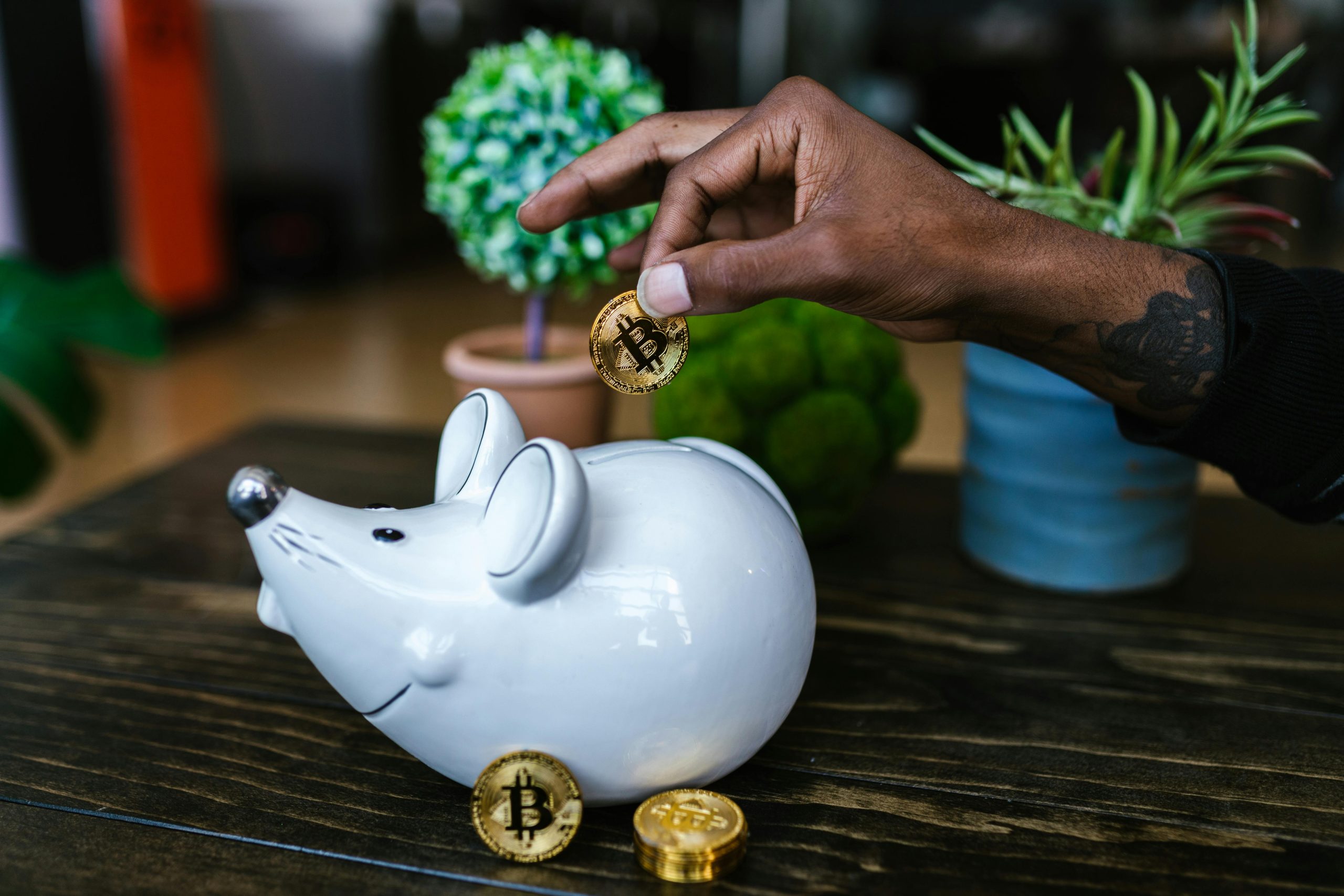 How to Deposit Funds into Your Zabira Wallet Using Your Bank Account deposit money into your zabira wallet