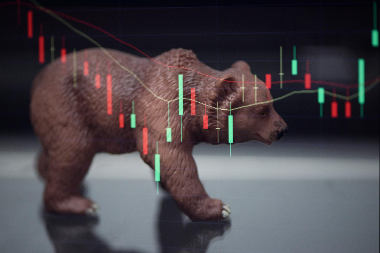 pi network updates & top cryptocurrencies to buy in a bear market 2025