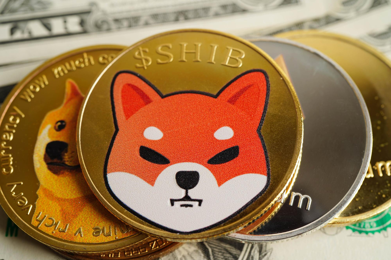 The Unlucky Adventures of Lucky- Episode 11 meme coins on the rise — shiba inu and dogecoin continue to capture investor attention with their playful yet unpredictable market moves.